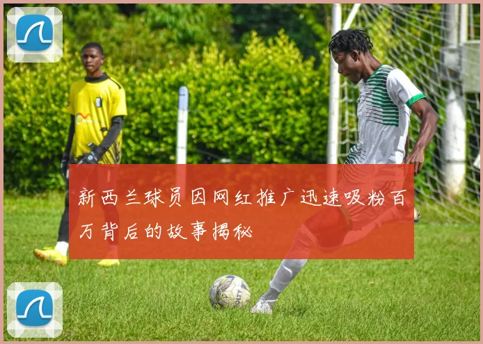 新西兰球员因网红推广迅速吸粉百万背后的故事揭秘